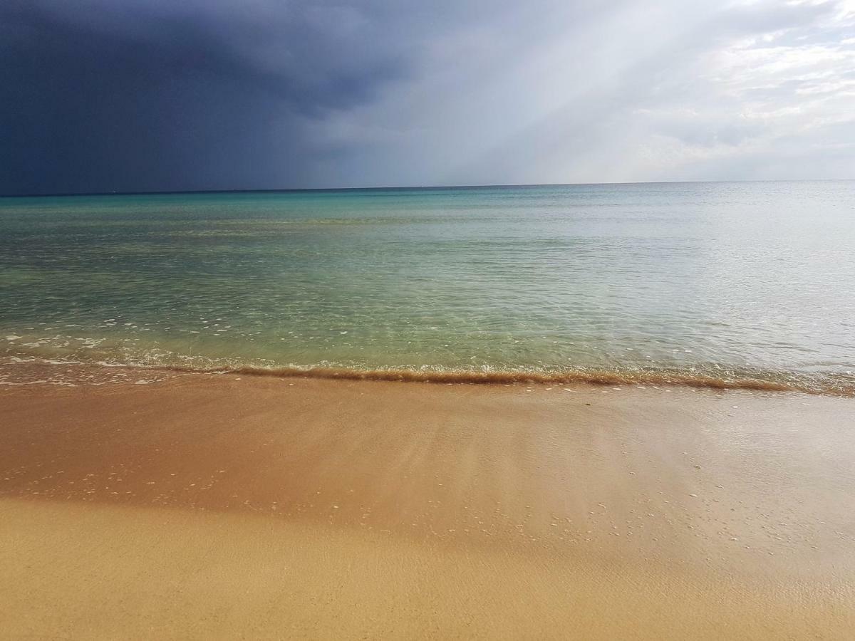 B&B Ornella ليفيرانو المظهر الخارجي الصورة